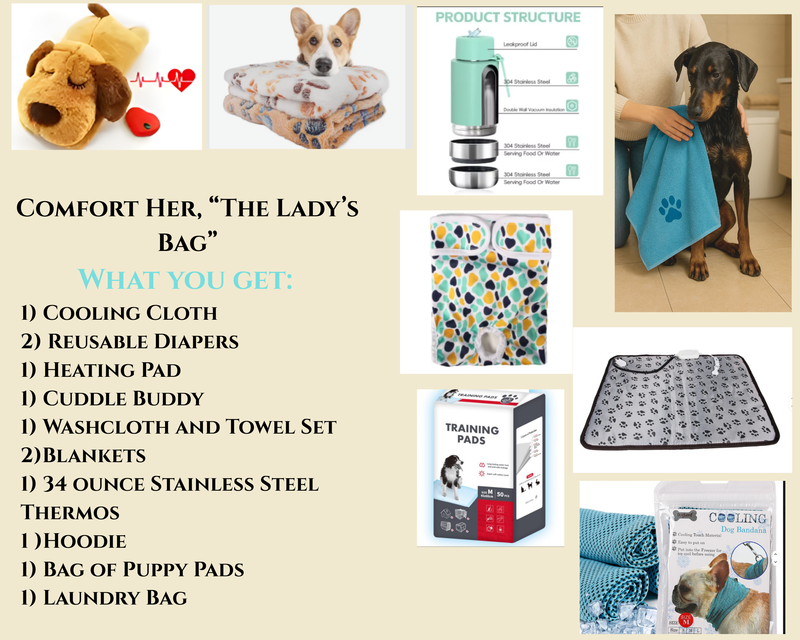 The Lady's Bag : Comfort Care Bundle: Everything Your Girl Needs During