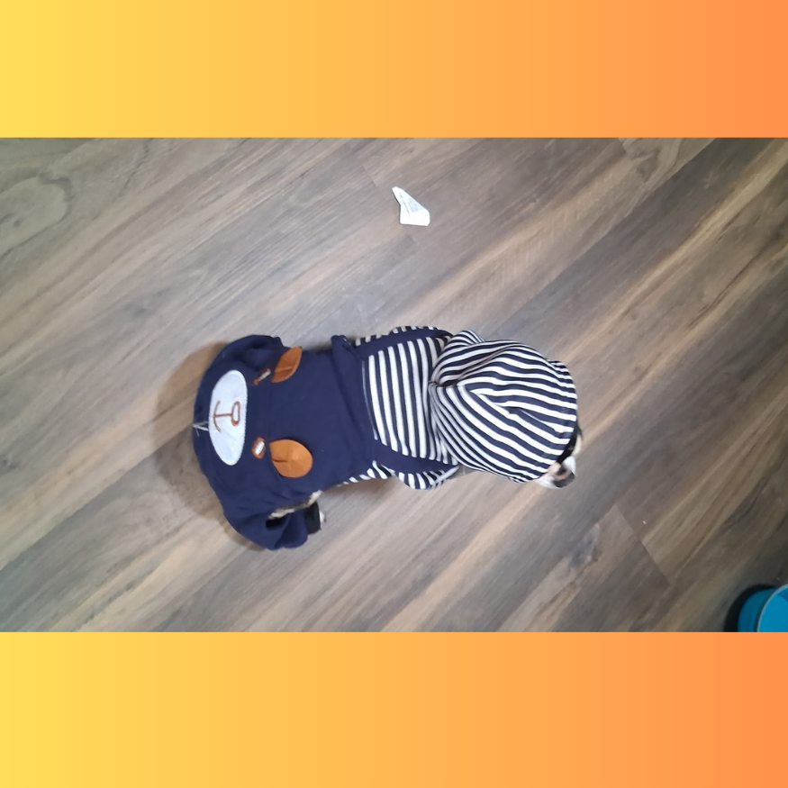 Bear Hoody Full Body