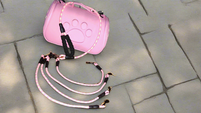 3, 4, 5, or 6 Lead Leash