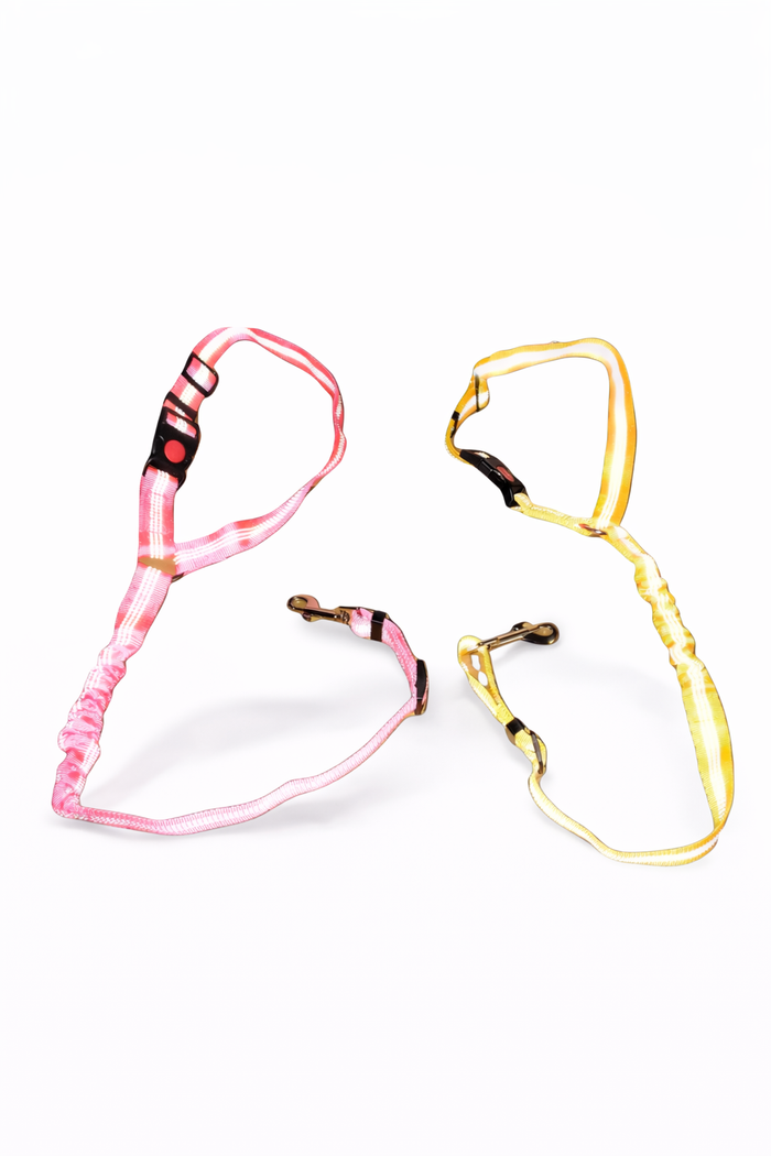 Headrest Paw Safe Buckle