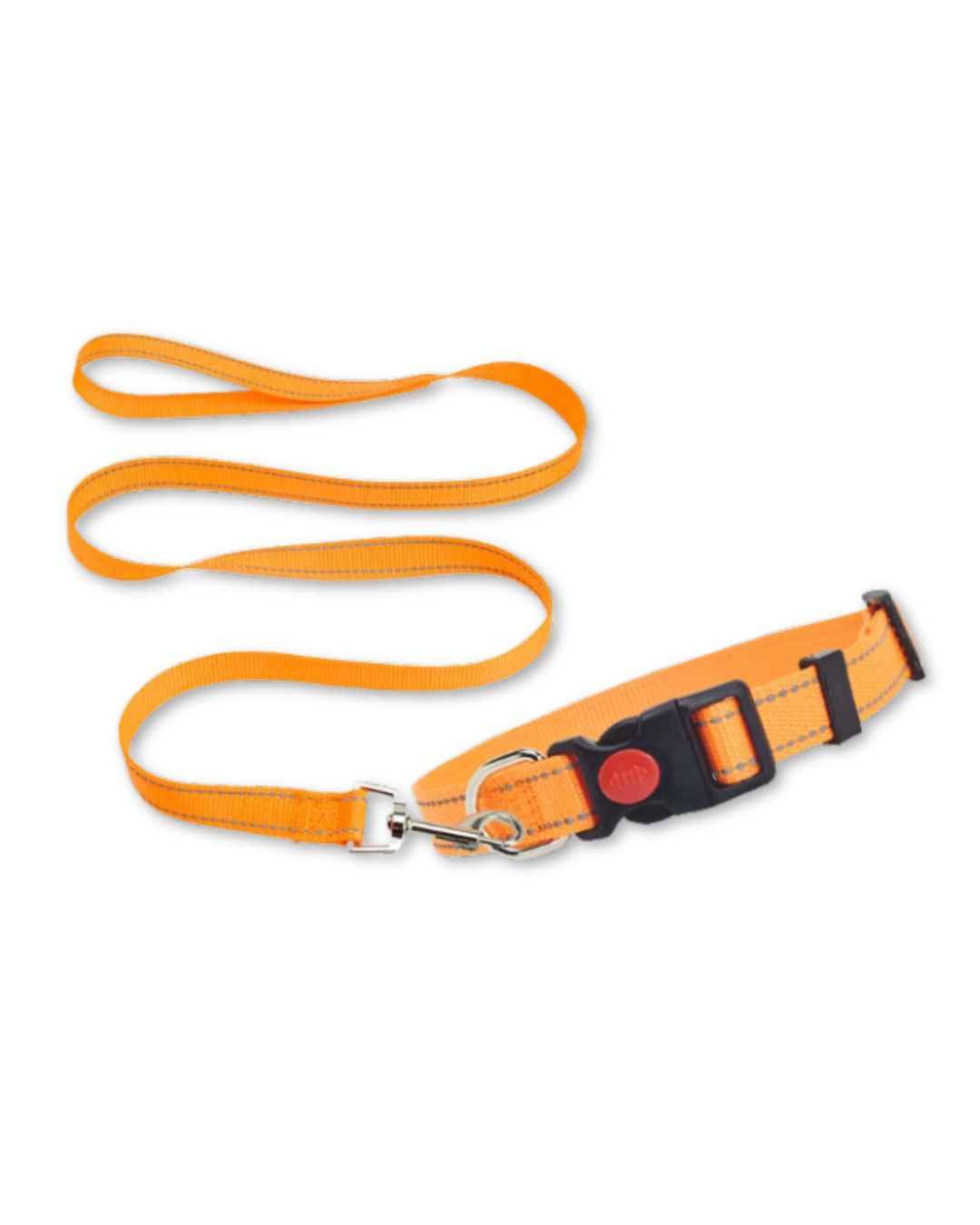 Nylon Reflective Dog Collar & Leash Set