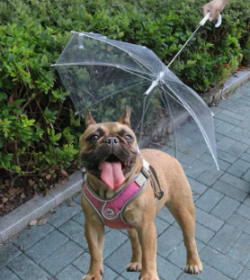 Clear Pet Umbrella Leash
