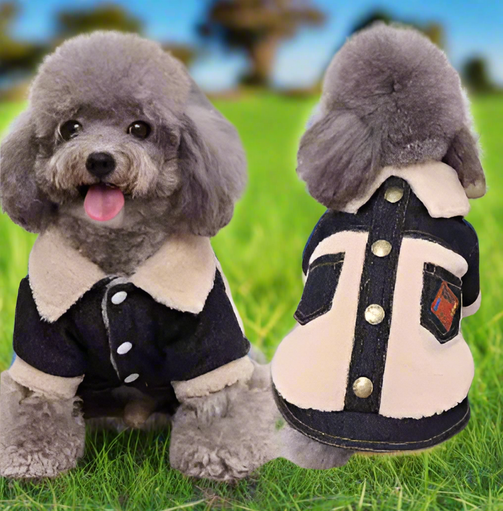 Cotton & Denim Button Up Sweater