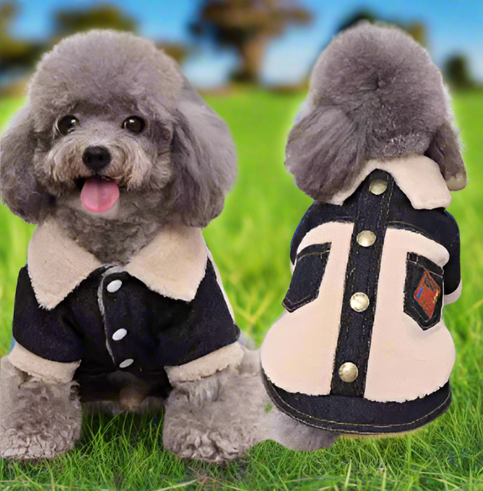 Cotton & Denim Button Up Sweater