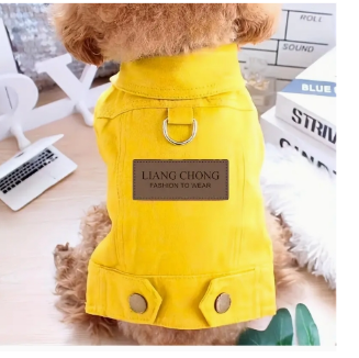 Colored Denim Jacket