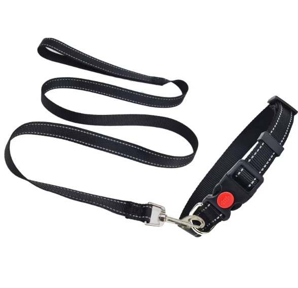 Nylon Reflective Dog Collar & Leash Set