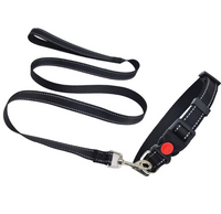 Nylon Reflective Dog Collar & Leash Set