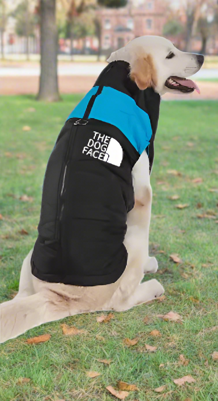 The Dog Face Vest