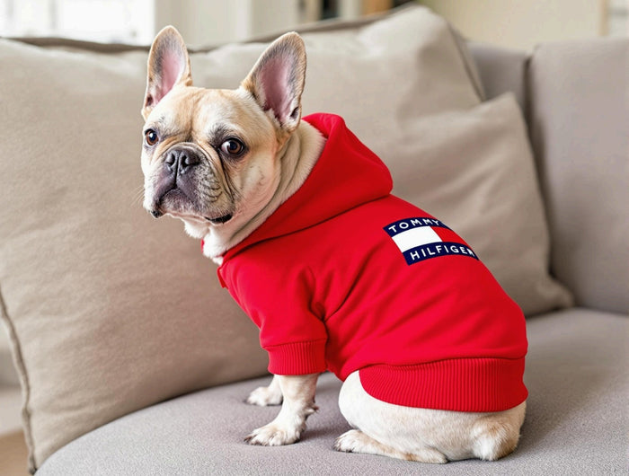 Tommy Hilfiger Hoodies