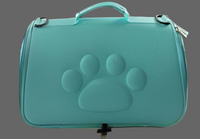 Paw Pet Carrier