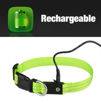 Rechargeable LED Leash + Collar Set