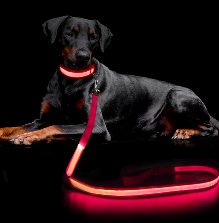 Rechargeable LED Leash + Collar Set