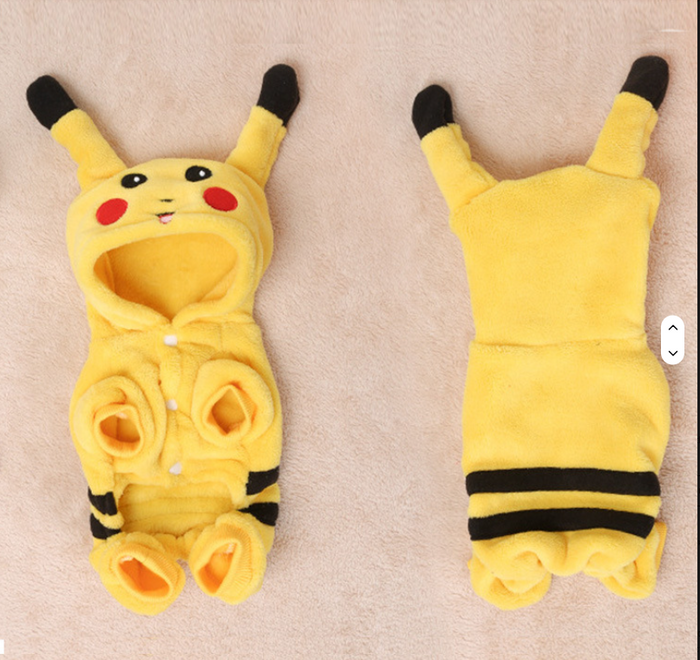 Pokemon Outfit