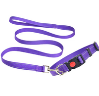 Nylon Reflective Dog Collar & Leash Set