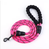 Reflective Durable Nylon Leash