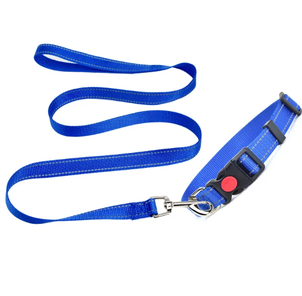 Nylon Reflective Dog Collar & Leash Set
