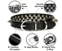 Spiked Collars