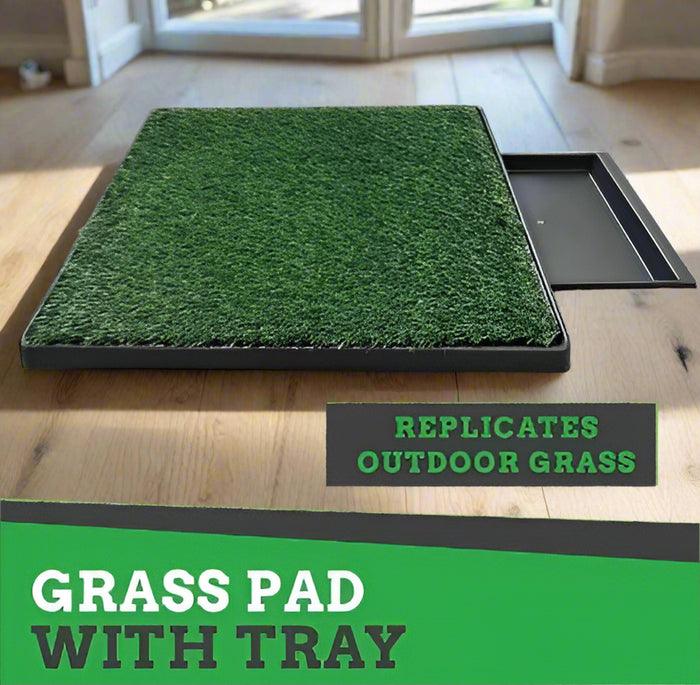 Puppy Training Potty Tray