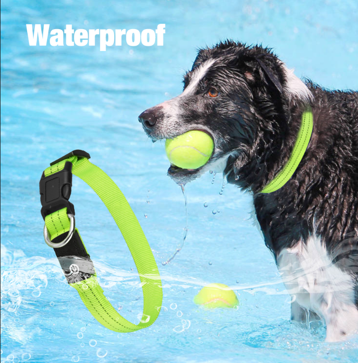 Rechargeable LED Leash + Collar Set