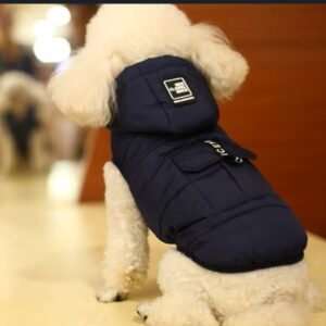 Blue Designer Vests