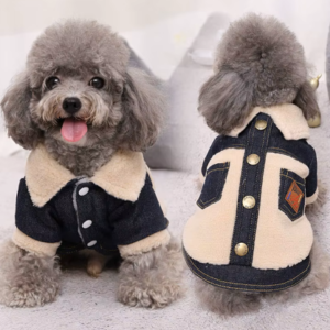 Designer Button Up Sweater
